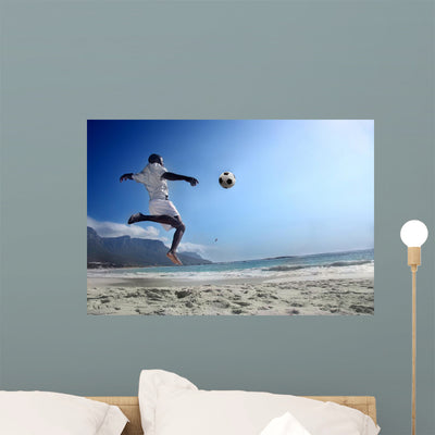Soccer Wall Mural shown on a wall