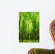 forest path Wall Mural
