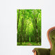 forest path Wall Mural