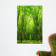 forest path Wall Mural