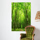 forest path Wall Mural