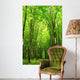 forest path Wall Mural
