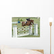 Show Horse Jumping Wall Mural