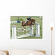 Show Horse Jumping Wall Mural