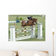 Show Horse Jumping Wall Mural