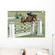 Show Horse Jumping Wall Mural