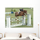 Show Horse Jumping Wall Mural