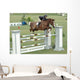 Show Horse Jumping Wall Mural