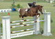 Show Horse Jumping Wall Mural