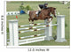 Show Horse Jumping Wall Mural
