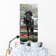 Show Jumper Rider Wall Mural