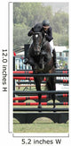 Show Jumper Rider Wall Mural