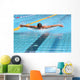 Swimming Wall Mural