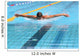 Swimming Wall Mural