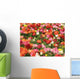 Keukenhof Wall Mural