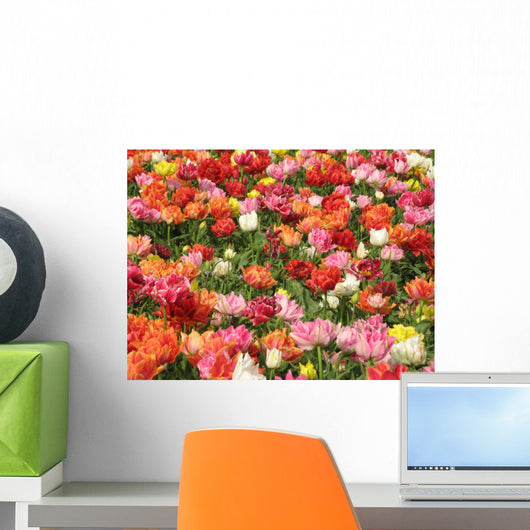 Keukenhof Wall Mural