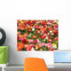 Keukenhof Wall Mural