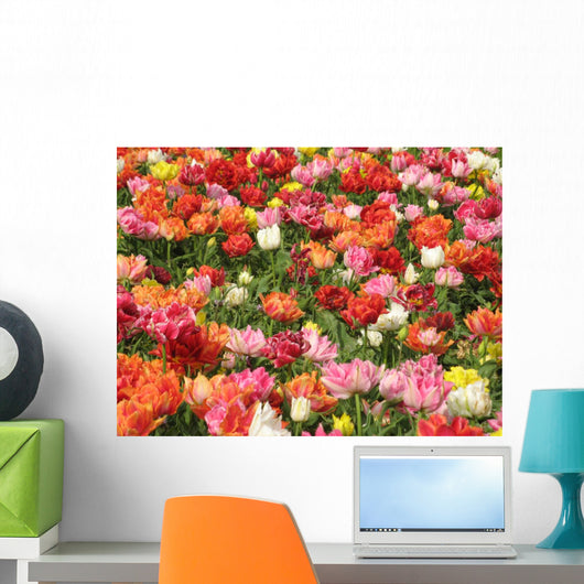 Keukenhof Wall Mural