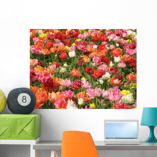 Keukenhof Wall Mural