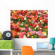Keukenhof Wall Mural