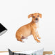 Chihuahua Dachshund Dog Sitting to Side Wall Decal