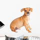 Chihuahua Dachshund Dog Sitting to Side Wall Decal