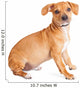 Chihuahua Dachshund Dog Sitting to Side Wall Decal