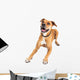Happy Boxer Crossbreed Dog Laying Over White Wall Decal