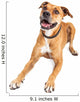 Happy Boxer Crossbreed Dog Laying Over White Wall Decal