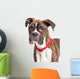 Portrait Boxer Crossbreed Over White Wall Decal
