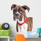 Portrait Boxer Crossbreed Over White Wall Decal
