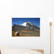 Ngauruhoe Volcano and Plateau Wall Decal