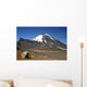 Ngauruhoe Volcano and Plateau Wall Decal