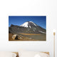 Ngauruhoe Volcano and Plateau Wall Decal