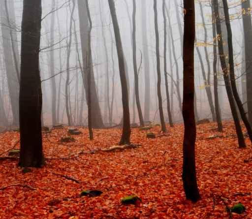 Fog Forest Wall Decal