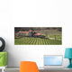 Italy Liguria Italian Vineyard Wall Decal Design 1