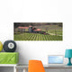 Italy Liguria Italian Vineyard Wall Decal Design 1