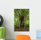 Amazon Jungle Tree Wall Mural