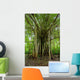 Amazon Jungle Tree Wall Mural