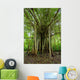Amazon Jungle Tree Wall Mural