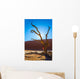  Dry picturesque tree decorated with silk scarf Wall Mural