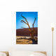  Dry picturesque tree decorated with silk scarf Wall Mural