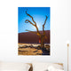  Dry picturesque tree decorated with silk scarf Wall Mural