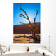  Dry picturesque tree decorated with silk scarf Wall Mural