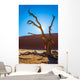  Dry picturesque tree decorated with silk scarf Wall Mural