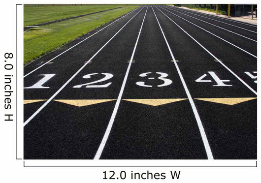 Track Lanes 1-4 Wall Mural