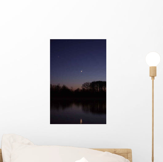 Twilight Wall Decal