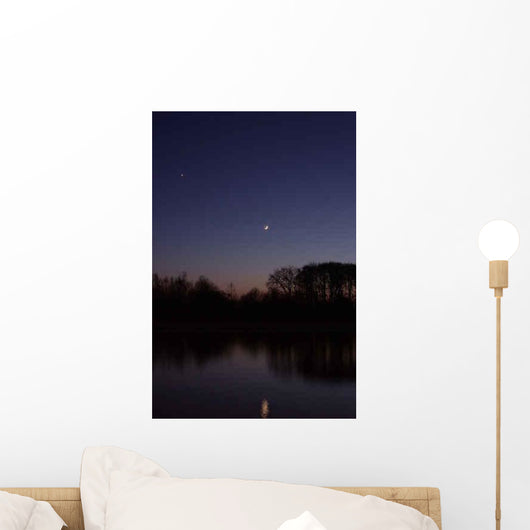 Twilight Wall Decal