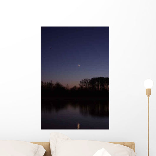 Twilight Wall Decal