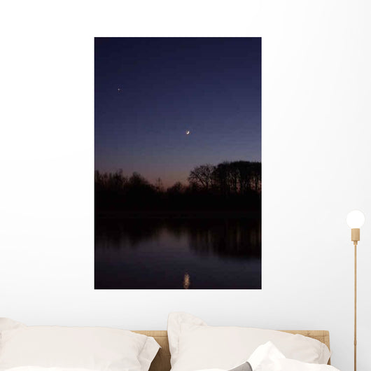 Twilight Wall Decal